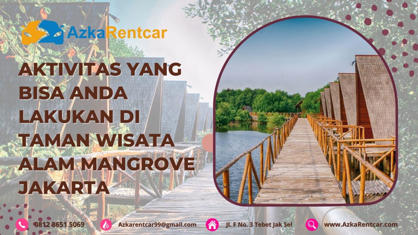 Aktivitas yang bisa Anda Lakukan di Taman Wisata Alam Mangrove Jakarta